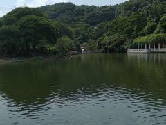 -广州市帽峰山景区