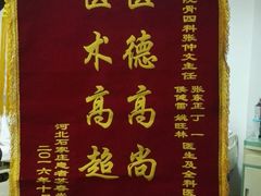 锦旗二-中国人民解放军总医院第三医学中心