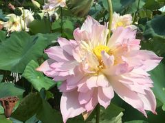 -龙环葡韵住宅式博物馆