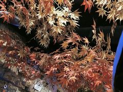 -城墙拐拐火锅(三峡广场黑金冠店)