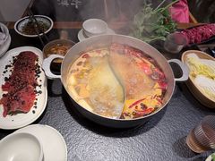 -滇牛云南火锅(桂林路店)