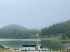 -武陵山森林公园
