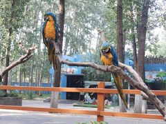 -北京野生动物园