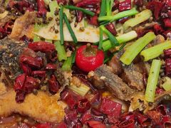 -老板恋上鱼(恒隆广场店)