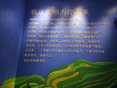 -贵凤凰贵州米粉(望京店)