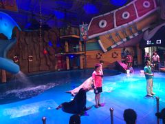 -烟台海昌鲸鲨海洋公园