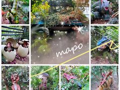 -呀路古热带植物园