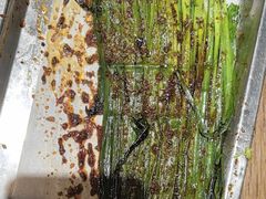 -永红源啤酒·烧烤·海鲜·大排档(青特城店)