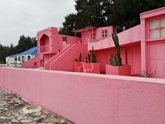 -北海金海湾红树林生态旅游区