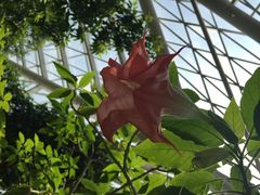 iphone_upload_pic-西安世博园