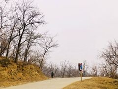 -北京西山国家森林公园