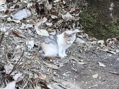 -终南山南五台景区