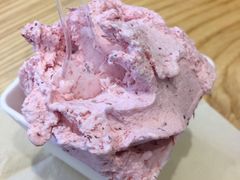 -野人先生现做冰淇淋(北京环宇荟店)
