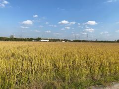 -嘉北郊野公园