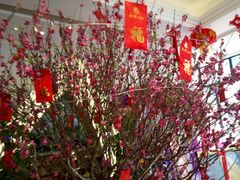 -和乐喜宴海鲜酒家(骏荣广场店)