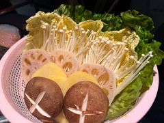 -朱光玉火锅馆(龙阳广场店)