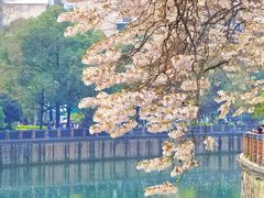 -成都市活水公园