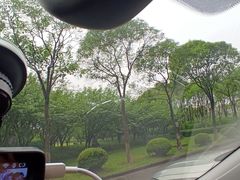 -鲨鱼皮汽车凹陷玻璃修复(静安店)