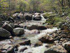 -青峰峡国家森林公园