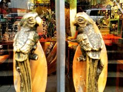 -六月花园咖啡馆(中关村东路店)