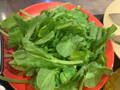 -滇野云南野生菌餐厅(陕西南路店)