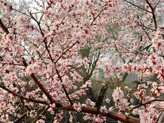 -安定门(地铁站)