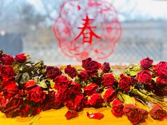 -春风习习
