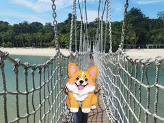 -巴拉湾海滩