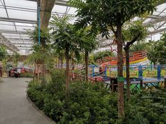 -南宫五洲植物乐园