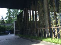 iphone_upload_pic-上海璞麗酒店