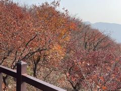 -周口店坡峰岭风景区
