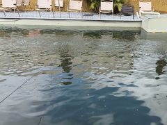 -DGE季风钓虾营地·团建·聚会