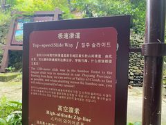 -宁波浙东大竹海景区