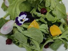 -院里寻菜·祖庵菜宴请(观沙岭店)