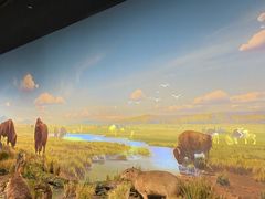 -陕西自然博物馆