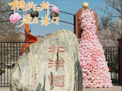-桃花堤公园