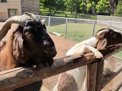 -太原动物园