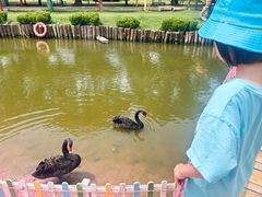 -苏州太湖西山岛开心农场