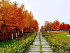 -长春世界雕塑园冰雪艺术天地