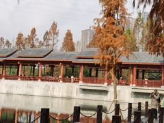 -重庆彩云湖湿地公园