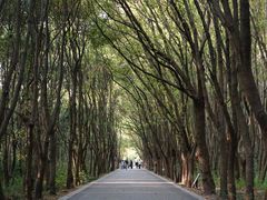 -同里国家湿地公园