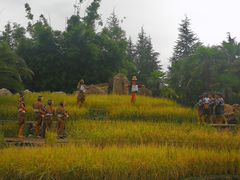 -云南民族村
