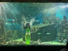 -嘉兴海底世界