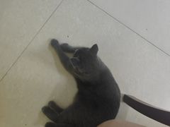 -宠颐生宠物医院外科·内科·皮肤科·影像科(石龙店)
