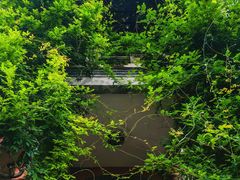 -南通博物苑-崇川人民公园