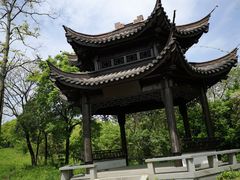 -宜兴龙背山森林公园