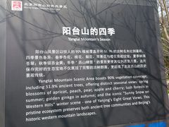 -阳台山自然风景区