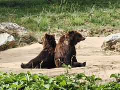 -北京野生动物园