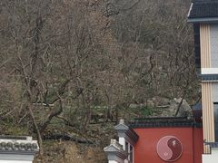 -句容茅山景区