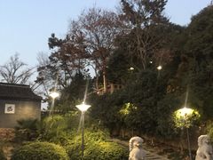 -泰州凤城河风景区-泰山公园